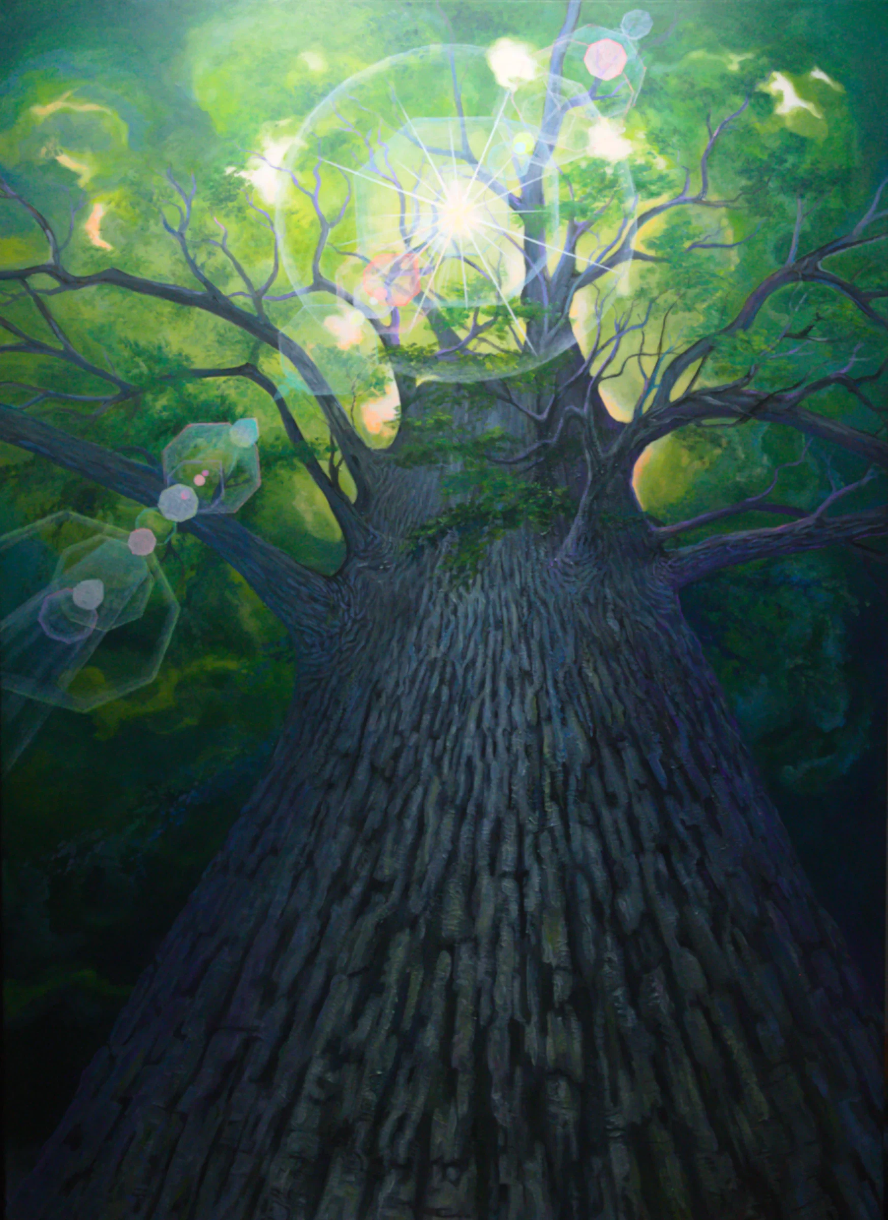 Filtre de lumière — œuvre de Mikel Richard